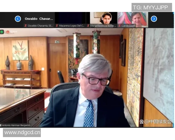 巴西多队联合声明反对人工草皮伤病说法呼吁公众理性看待