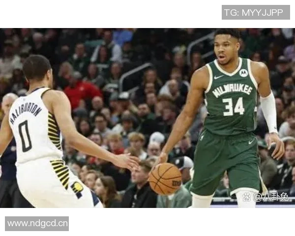 前瞻分析深圳主场对决北京男篮期待精彩赛事一触即发