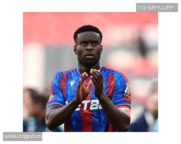 乔科尔分析冬窗转会策略切尔西更青睐年轻球员而非马克格伊 乔科尔分析冬窗转会策略切尔西更青睐年轻球员而非马克格伊