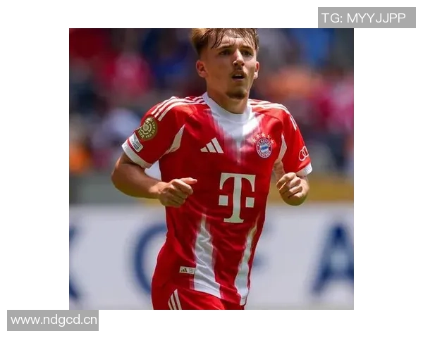 德天空揭秘拜仁小将卡尔的成长故事与偶像厄德高的影响