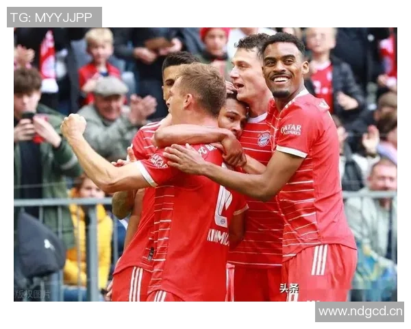 图片报评拜仁外租球员表现：帕利尼亚与努贝尔成主力佩雷茨遭遇挫折